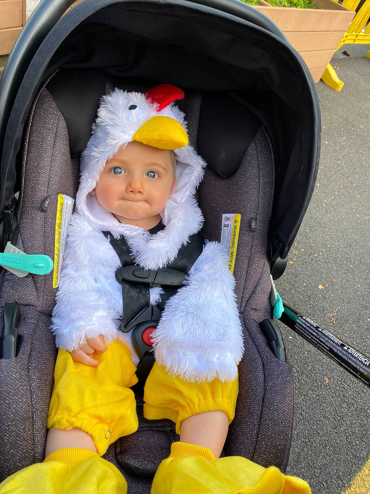 Carmine is registered to the contest to win money with this photo: auto_part, baby, baby_carriage, baby_products, car_seat, car_seat_cover, child, comfort, family_car, fun, fur, headwear, lap, motor_vehicle, person, seat_belt, sitting, toddler, travel, vehicle