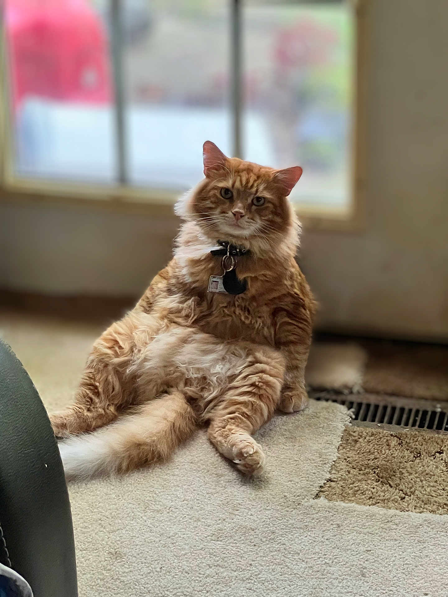 Oliver