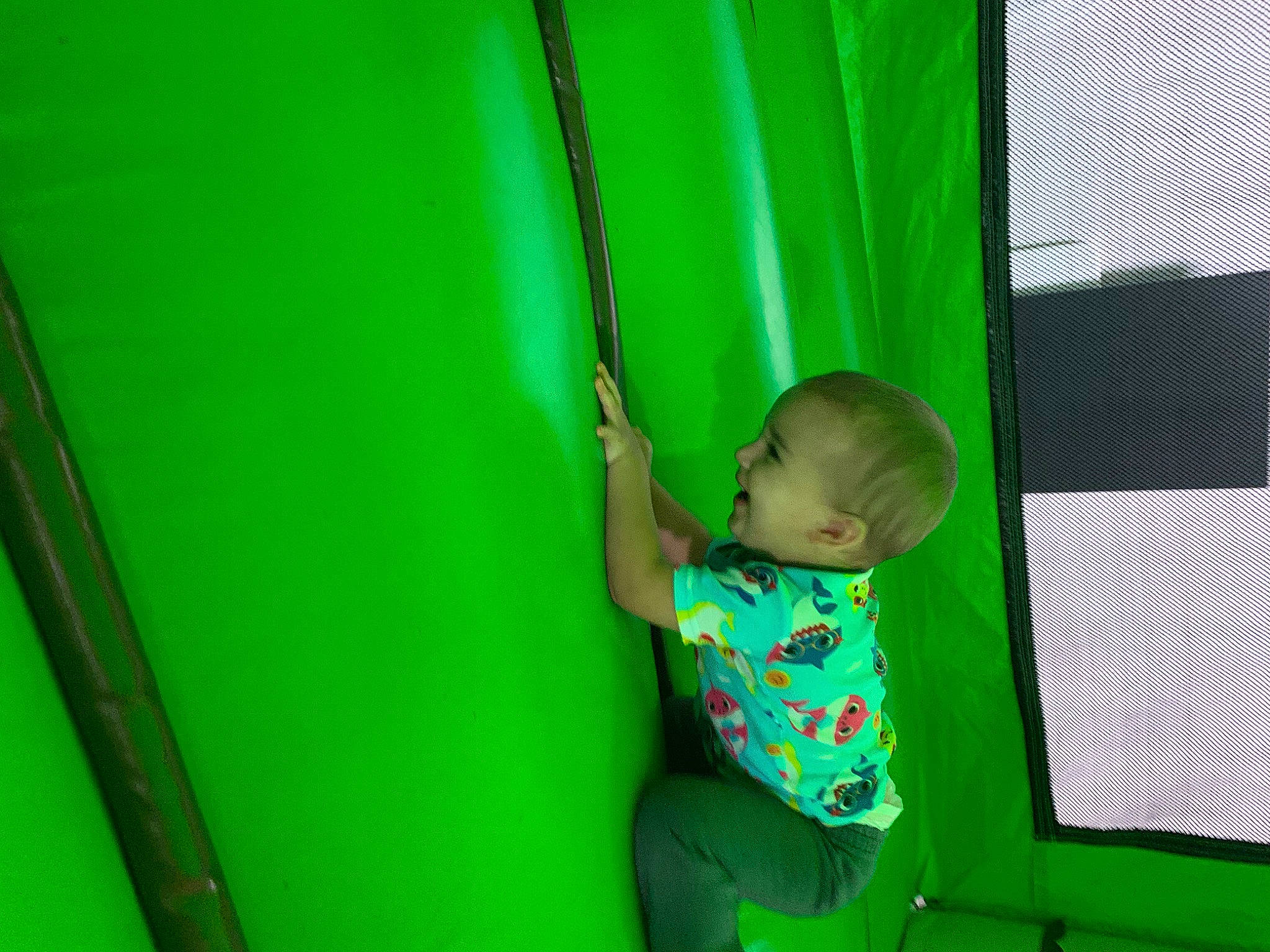 David is registered to the contest to win money with this photo: baby, baby_toddler_clothing, child, elbow, fun, grass, happy, leisure, magenta, outdoor_play_equipment, person, play, playground, recreation, room, shade, tints_and_shades, toddler