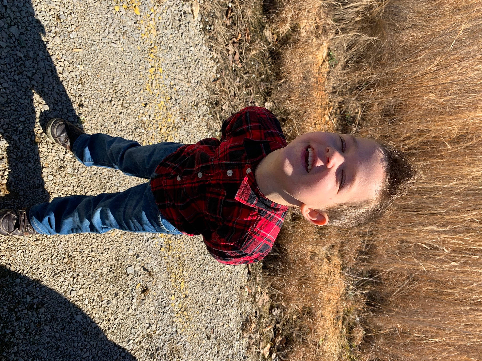 Kaiden joined the competition — help win amazing prizes! child, fun, grass, happy, joy, landscape, leaf, leisure, pattern, people_in_nature, person, plaid, plant, shadow, smile, soil, tints_and_shades, toddler, tree, winter