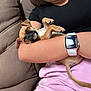 Chug joined the competition — help win amazing prizes! puppy, dog, sleeping, arm, person, watch, couch, brown, pink, relaxation, indoor, pet, cute, small, fur, nap, rest, comfort, casual, human