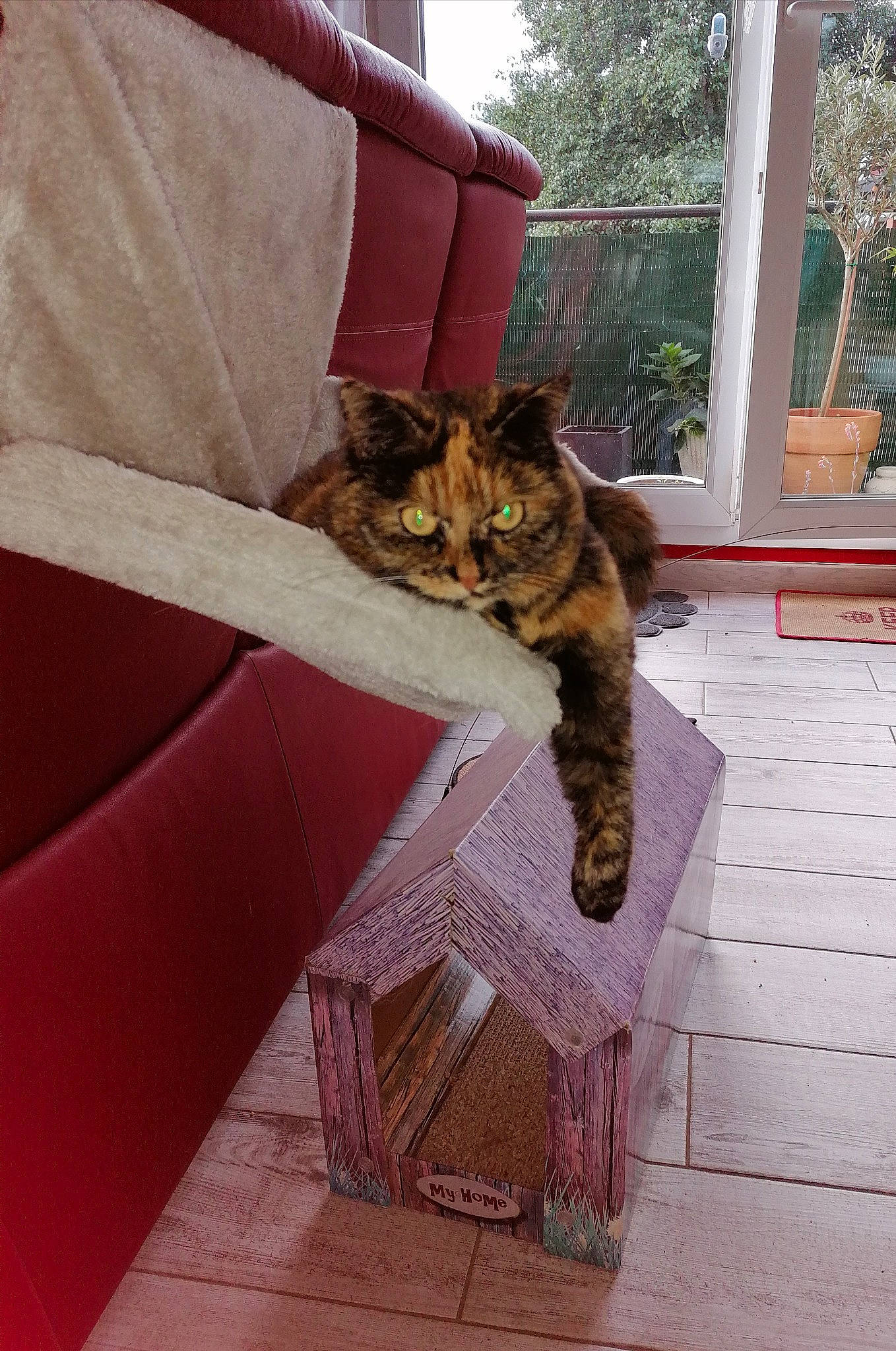 Maya