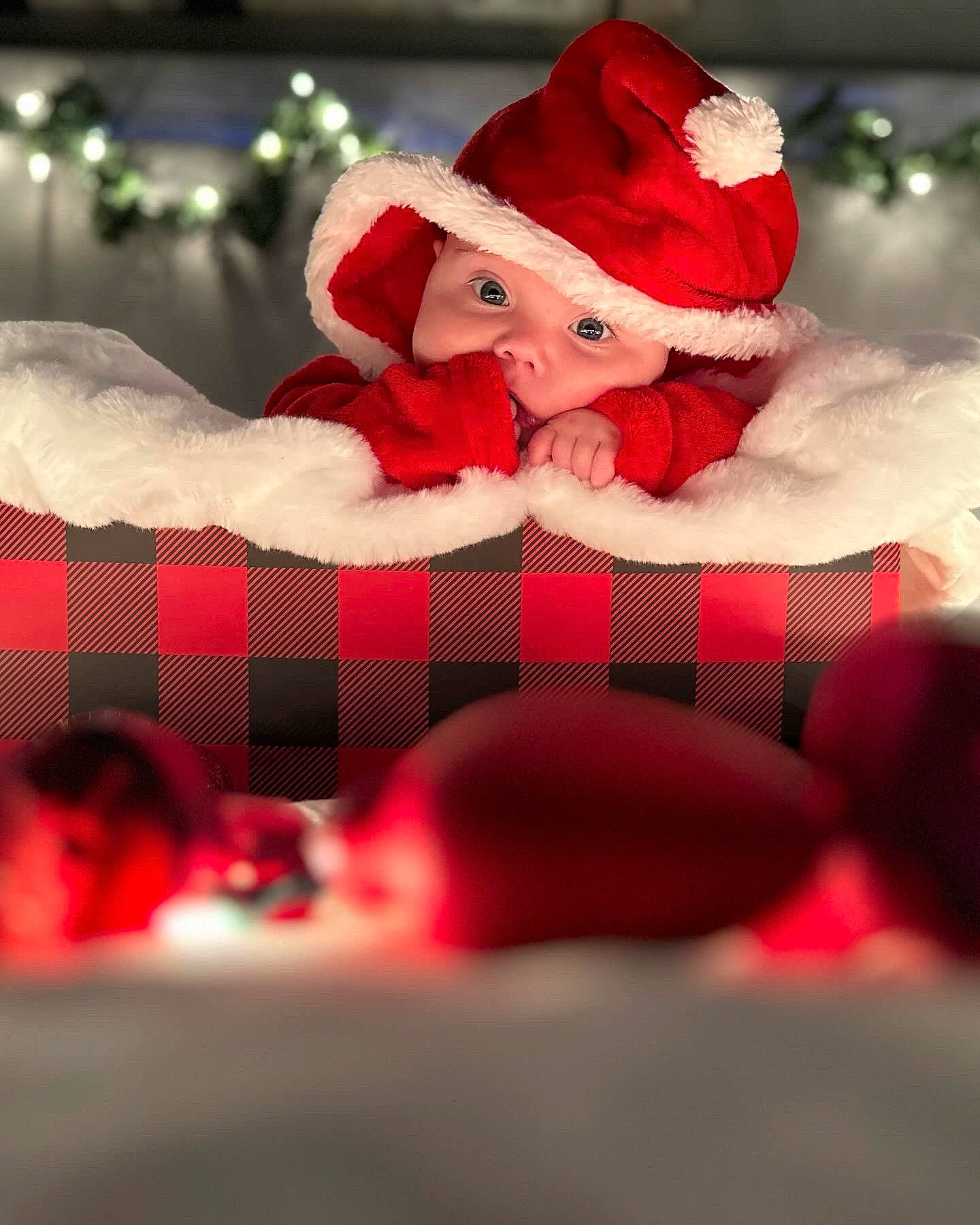 Skyler joined the competition — help win amazing prizes! carmine, christmas, christmas_decoration, christmas_eve, comfort, costume_hat, event, fictional_character, fur, happy, hat, headwear, holiday, interior_design, magenta, ornament, person, petal, red, santa_claus