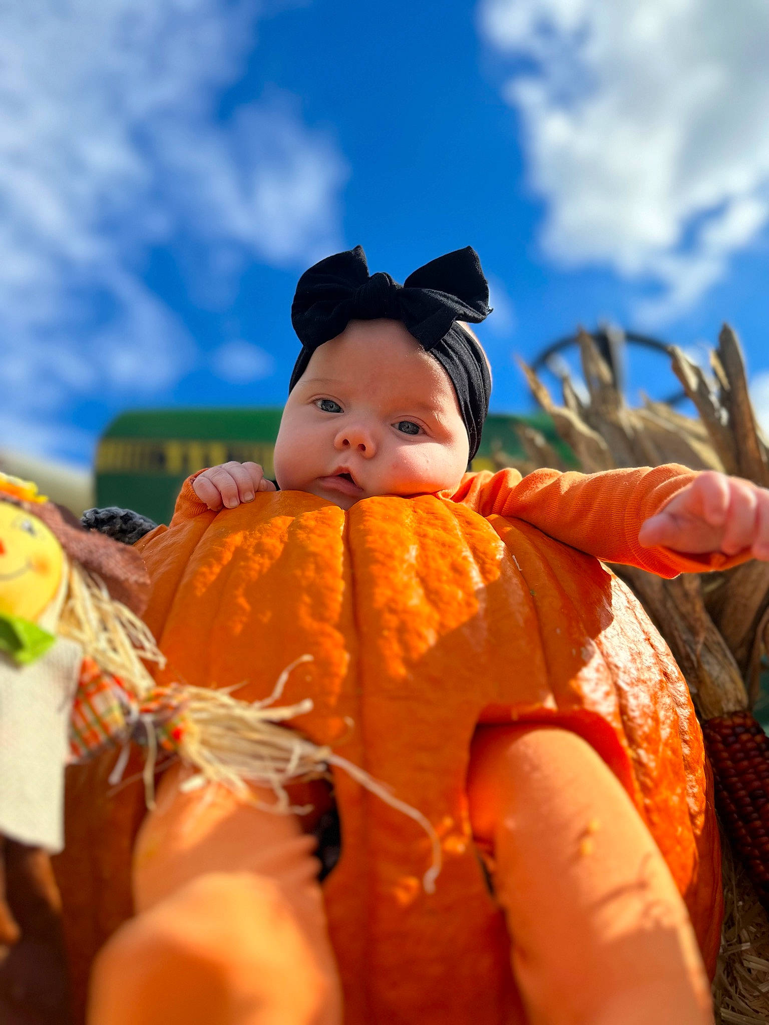 Skyler is registered to the contest to win money with this photo: abdomen, child, cloud, event, fun, gesture, glove, happy, hat, headgear, headwear, leisure, people_in_nature, person, pumpkin, recreation, sky, stuffed_toy, thumb, tradition