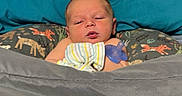 Samuel is registered to the contest to win money with this photo: baby, newborn, blanket, pillow, bed, sleepy, indoor, child, person, cozy, resting, blue, gray, pattern, animal_print, soft, cute, infant, nursery, comfort