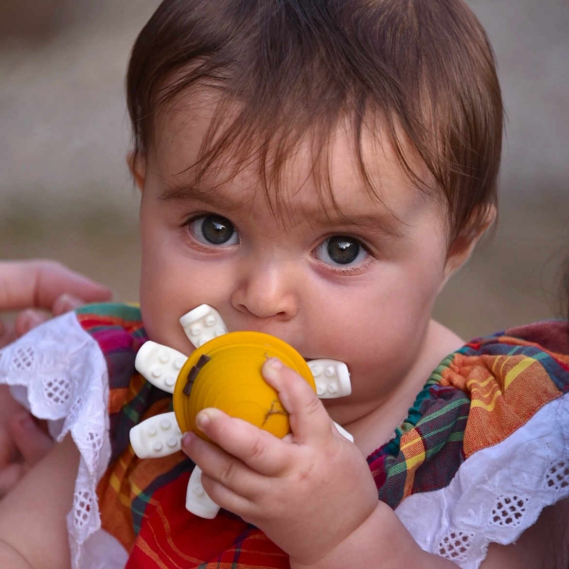 Livia participe au concours pour gagner de l'argent avec cette photo : baby, child, closeup, clothing, cute, expression, eyes, face, fingers, hand, holding, infant, lace, outdoor, person, plaid, portrait, skin, support, toy