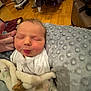 baby, newborn, blanket, pillow, sleeping, indoor, infant, soft_texture, cozy, person, cute, face, resting, hand, wood_floor, clothing, wrapped, closeup, peaceful, expression
