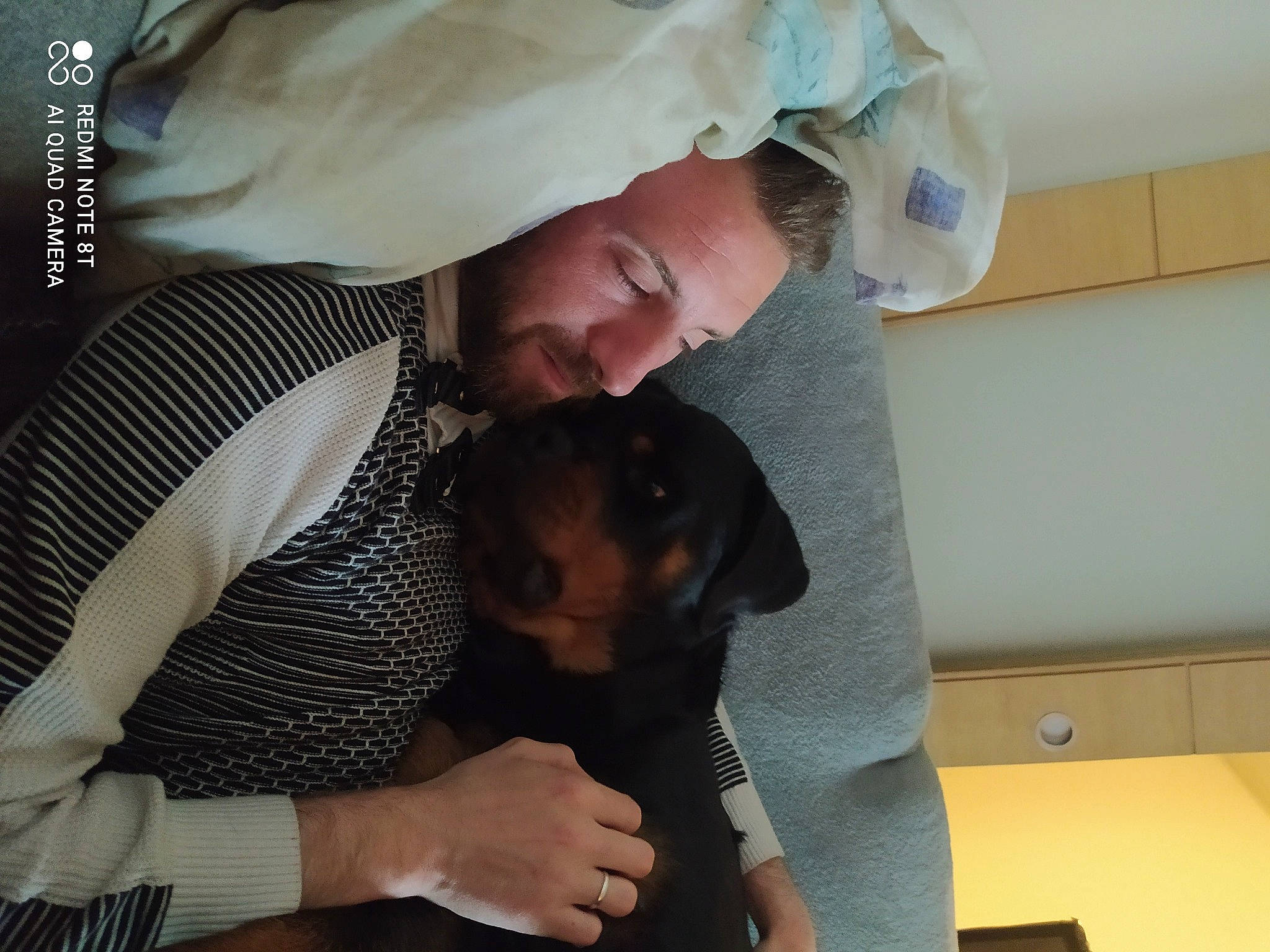 Stalone a rejoint le concours — aidez-le/la à gagner de superbes lots ! arm, canidae, carnivore, child, comfort, companion_dog, dog, dog_breed, ear, elbow, eyewear, fashion_accessory, gesture, guard_dog, hand, interaction, lap, sitting, sporting_group, toy_dog