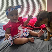Samara joined the competition — help win amazing prizes! baby, dog, bed, indoor, window_blinds, red_clothing, headband, smiling, cute, pet, child, interaction, foot, human, animal, happy, portrait, celebration, fabric, furniture