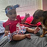baby, dog, bed, indoor, window_blinds, red_clothing, headband, smiling, cute, pet, child, interaction, foot, human, animal, happy, portrait, celebration, fabric, furniture