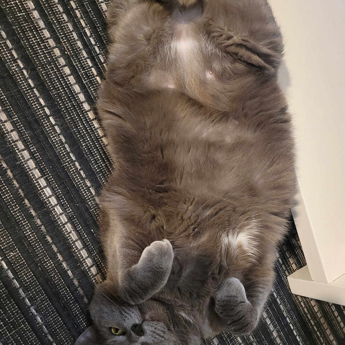 Ophélia
