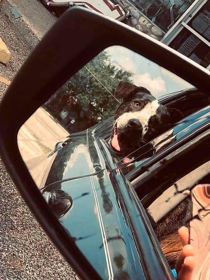 Sophie is registered to the contest to win money with this photo: automotive_design, automotive_exterior, automotive_lighting, automotive_mirror, automotive_side_view_mirror, automotive_tire, bumper, car, eyewear, hood, land_vehicle, mode_of_transport, motor_vehicle, plant, rear_view_mirror, tree, vehicle, vehicle_door, window, windscreen_wiper