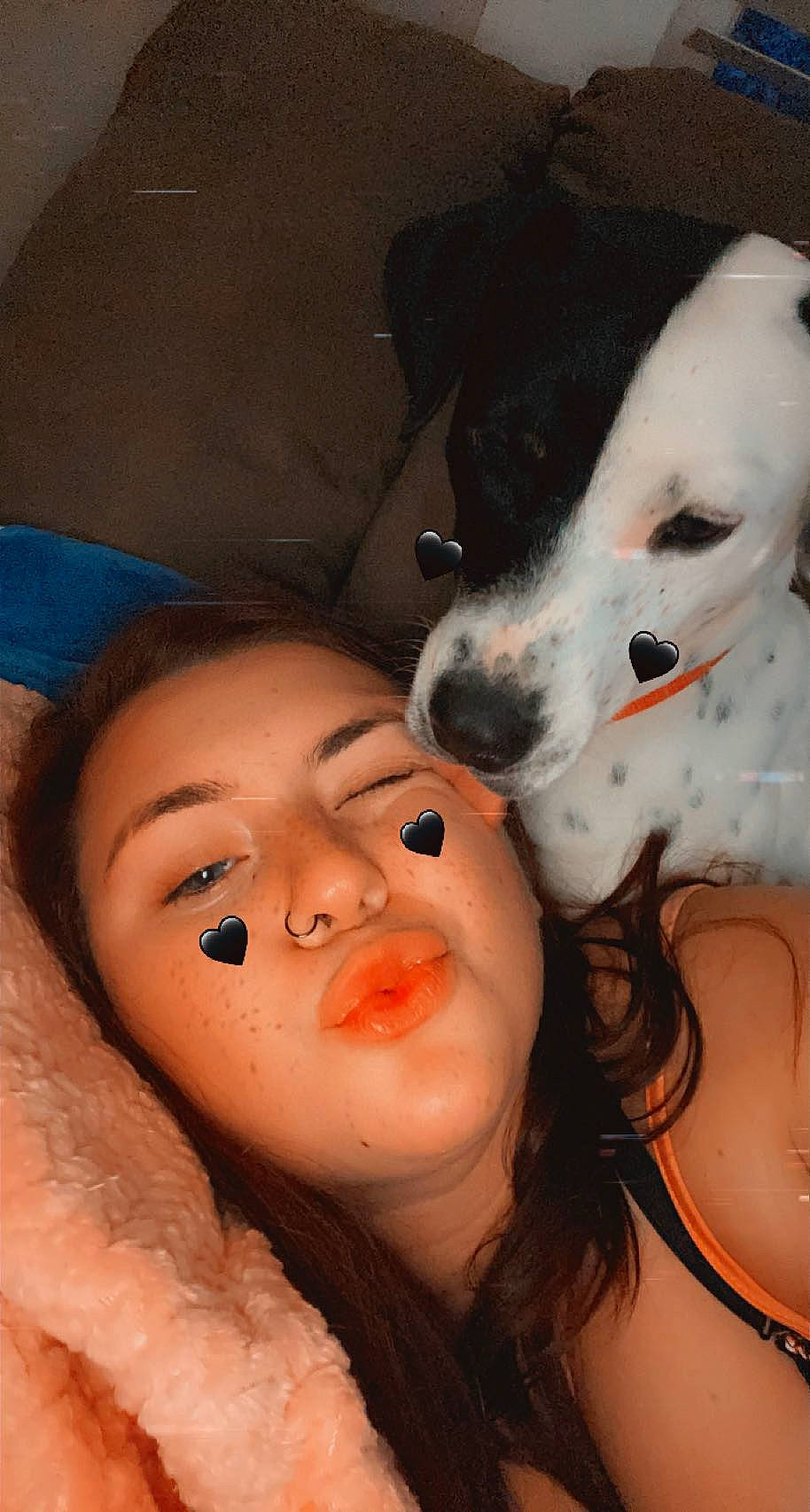 Chloe is registered to the contest to win money with this photo: black_hair, carnivore, cheek, cool, dog, ear, eyebrow, eyelash, fawn, happy, head, iris, jaw, lip, mammal, mouth, nose, organ, skin, vertebrate