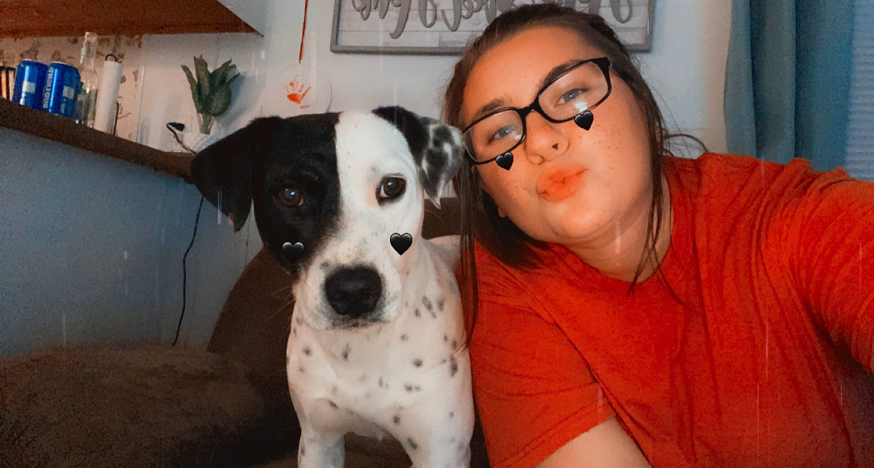 Chloe joined the competition — help win amazing prizes! canidae, carnivore, collar, comfort, companion_dog, couch, dalmatian, dog, dog_breed, eyewear, fawn, flowerpot, fur, glasses, houseplant, picture_frame, plant, vision_care, whiskers, working_animal