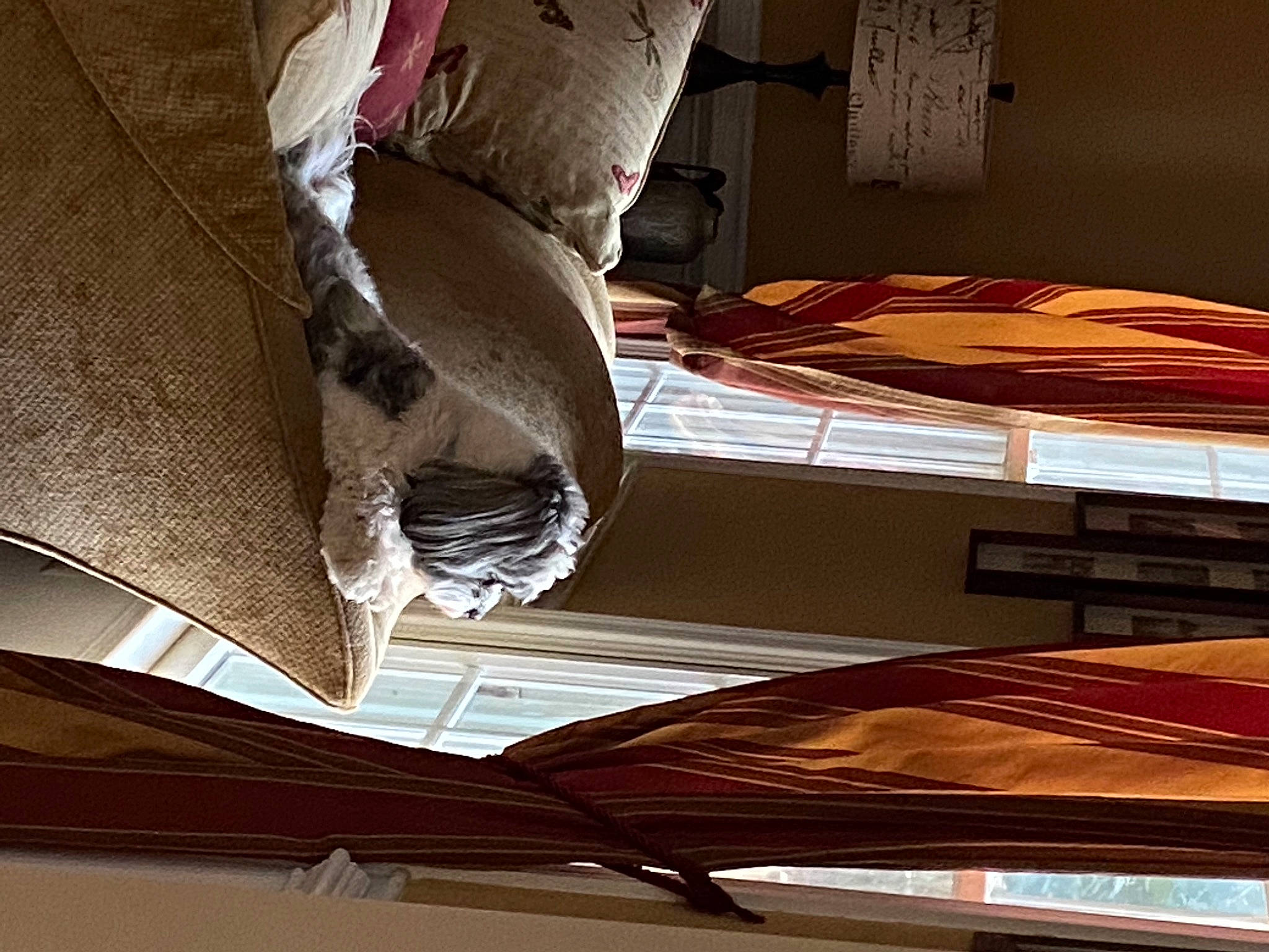 Davinci is registered to the contest to win money with this photo: art, automotive_design, beam, ceiling, composite_material, daylighting, fixture, flooring, hardwood, human_leg, light, metal, pattern, rectangle, shade, space, symmetry, tints_and_shades, wing, wood