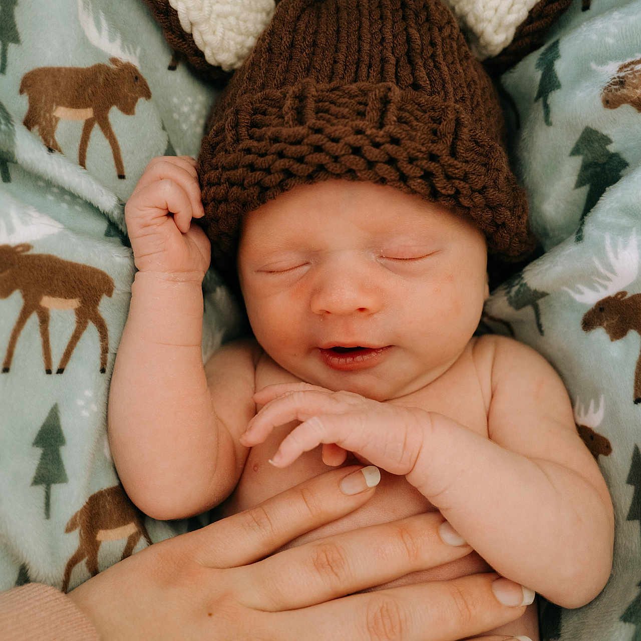 Hayes is registered to the contest to win money with this photo: baby, sleeping, knitted_hat, brown_hat, blanket, moose_pattern, pine_trees, hand, adult_hand, cozy, infant, cute, newborn, peaceful, soft_texture, warm, resting, portrait, child, indoor