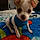 Roo