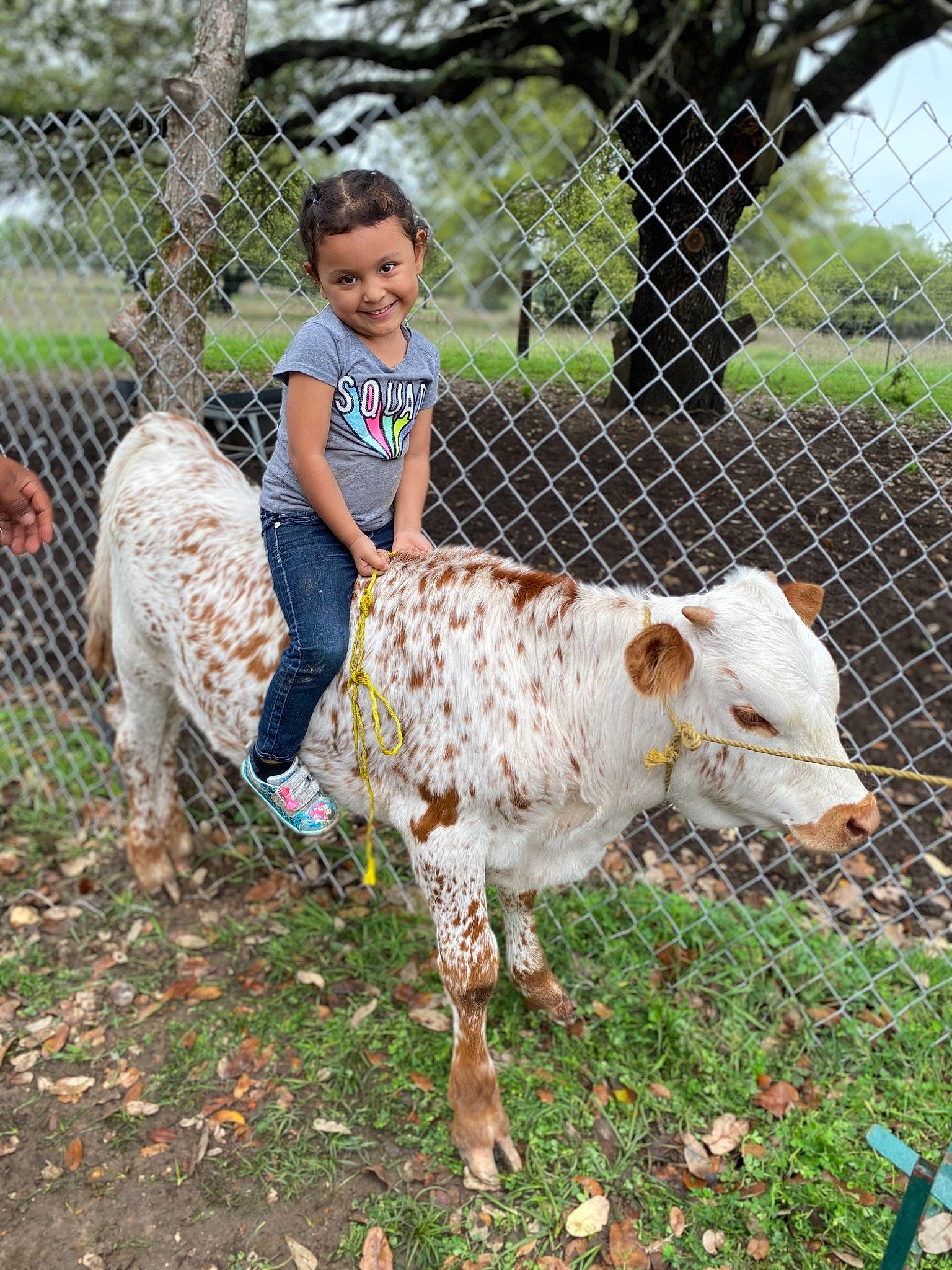 Yuliana joined the competition — help win amazing prizes! bovine, child, cow_goat_family, fawn, joy, landscape, livestock, mammal, person, plant, vertebrate