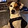 Snoopy