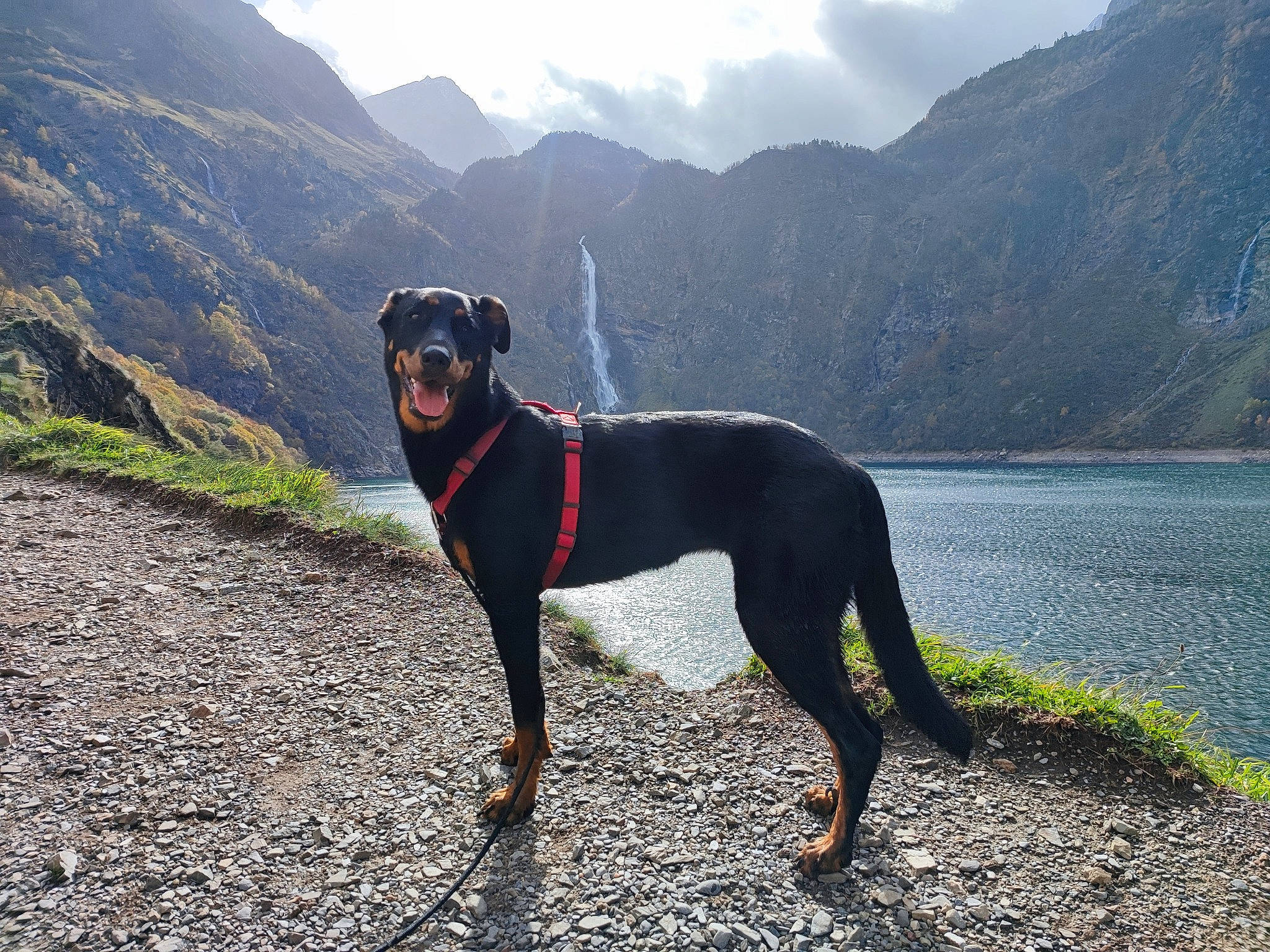 Savannah participe au concours pour gagner de l'argent avec cette photo : canidae, carnivore, cloud, collar, dog, dog_breed, dog_collar, highland, hill, lake, landscape, mountain, mountain_range, mountainous_landforms, ridge, sky, sporting_group, valley, water, working_animal