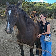 Woody a rejoint le concours — aidez-le/la à gagner de superbes lots ! animal, blue_sky, casual_clothing, companion, dog, friendly, happy, horse, leash, nature, outdoor, pet, portrait, sand, smile, standing, sunlight, tree, tree_foliage, woman
