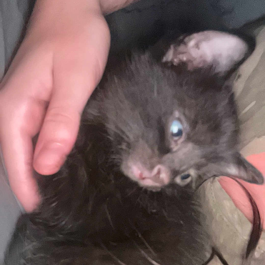 Salem