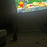 cat, indoor, floor, projection, bird, dark, room, furniture, toy, curious, watching, animal, domestic, pet, couch, wooden_floor, small_chair, electronic_device, shadow, quiet