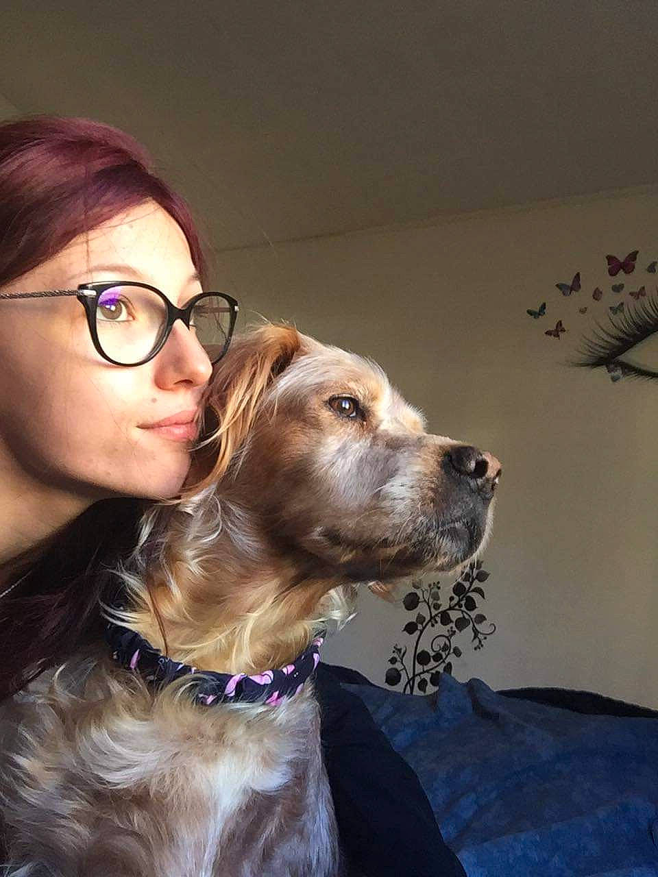 Echalotte a rejoint le concours — aidez-le/la à gagner de superbes lots ! canidae, carnivore, companion_dog, dog, dog_breed, dog_collar, ear, eyewear, fawn, glasses, mammal, snout, spaniel, sporting_group