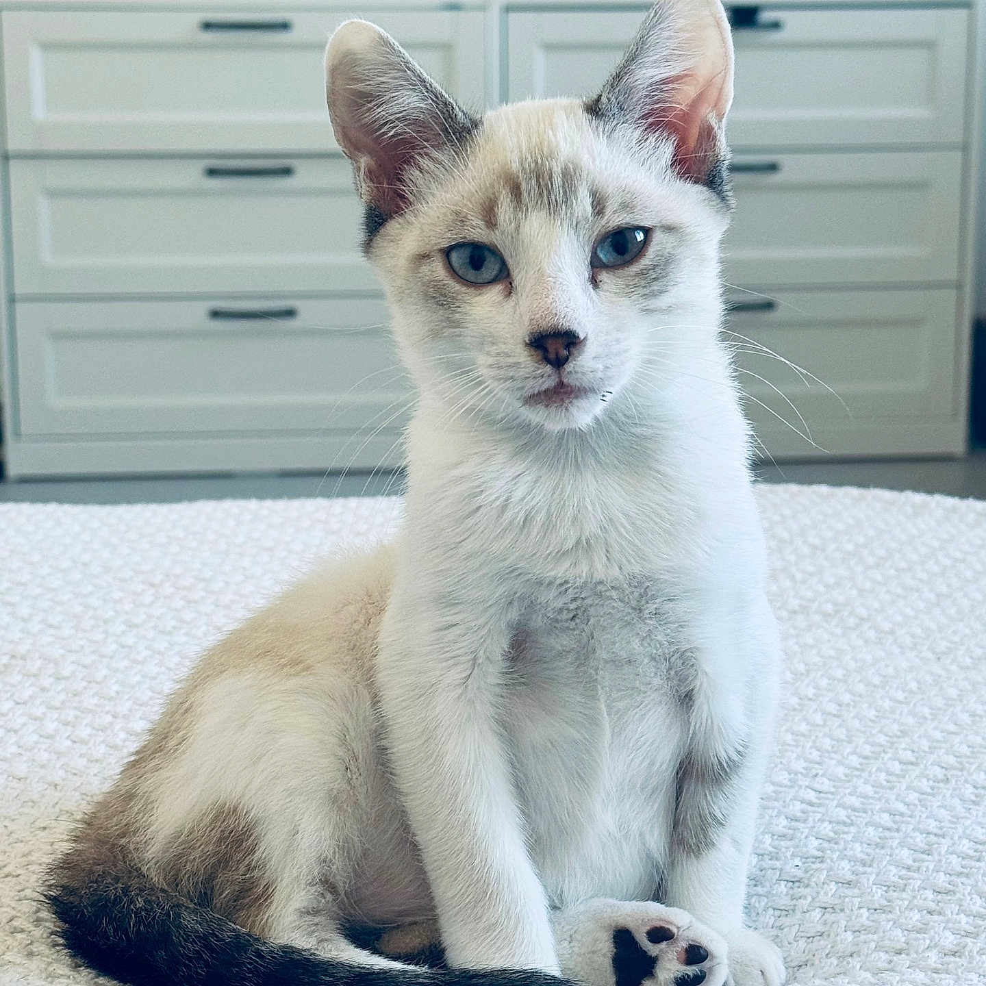 Saïko