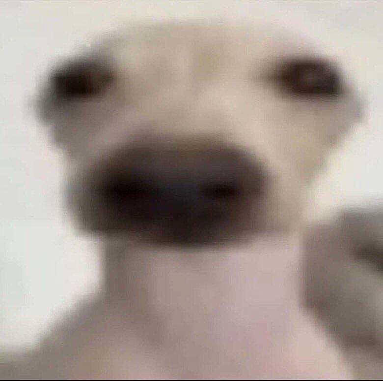 Demetriusdemarcusbartholomewjame