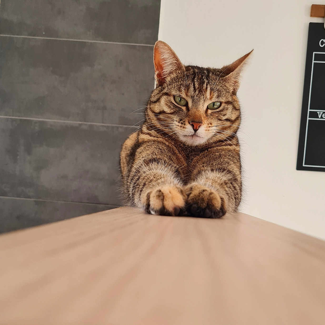 Poupie Et Pixel