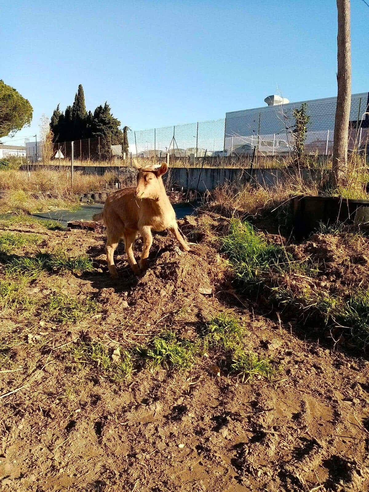 Bendo Et Niska a rejoint le concours — aidez-le/la à gagner de superbes lots ! adaptation, geological_phenomenon, land_lot, mountain, plant, rural_area, soil, tree, vehicle, village