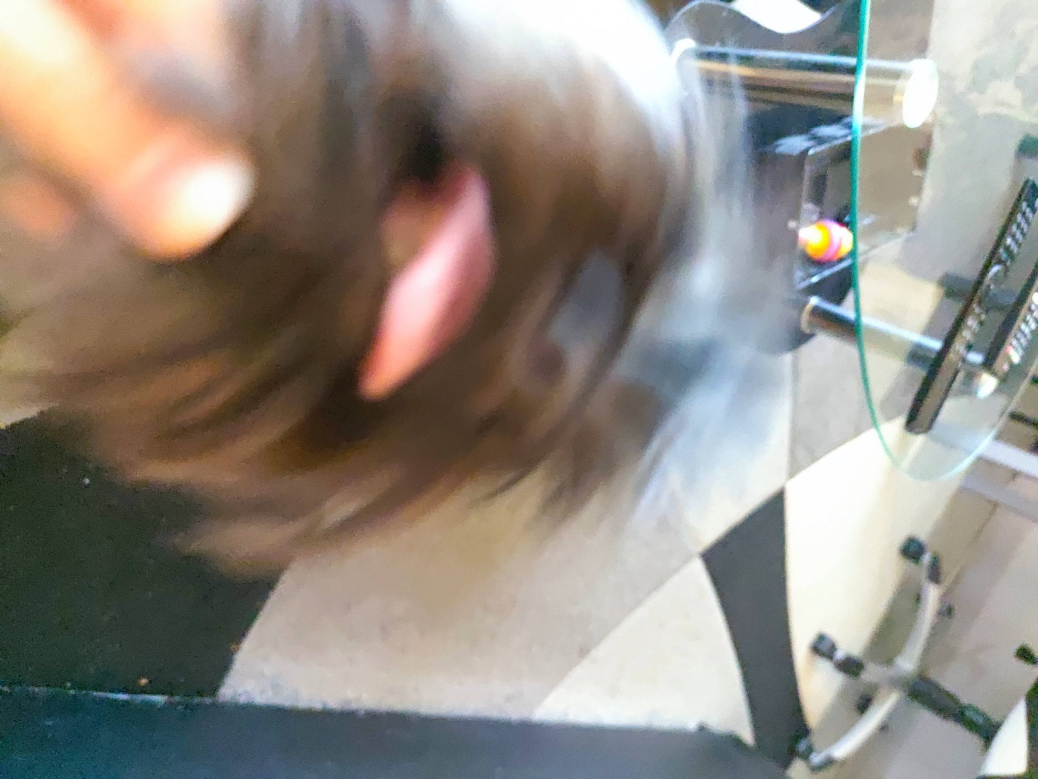 Micky a rejoint le concours — aidez-le/la à gagner de superbes lots ! audio_equipment, auto_part, automotive_exterior, automotive_lighting, automotive_tire, automotive_wheel_system, bumper, eyelash, felidae, flooring, fur, gas, glass, machine, metal, rim, small_to_medium_sized_cats, vehicle_door, whiskers, windshield