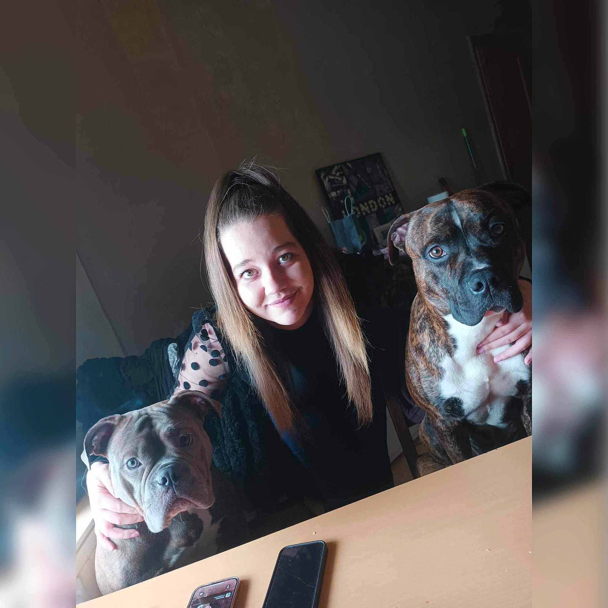 Guizmo a rejoint le concours — aidez-le/la à gagner de superbes lots ! canidae, carnivore, comfort, companion_dog, dog, dog_breed, eyewear, fawn, flash_photography, fun, fur, grey, happy, jaw, smile, snout, sporting_group, vertebrate, visual_arts, whiskers