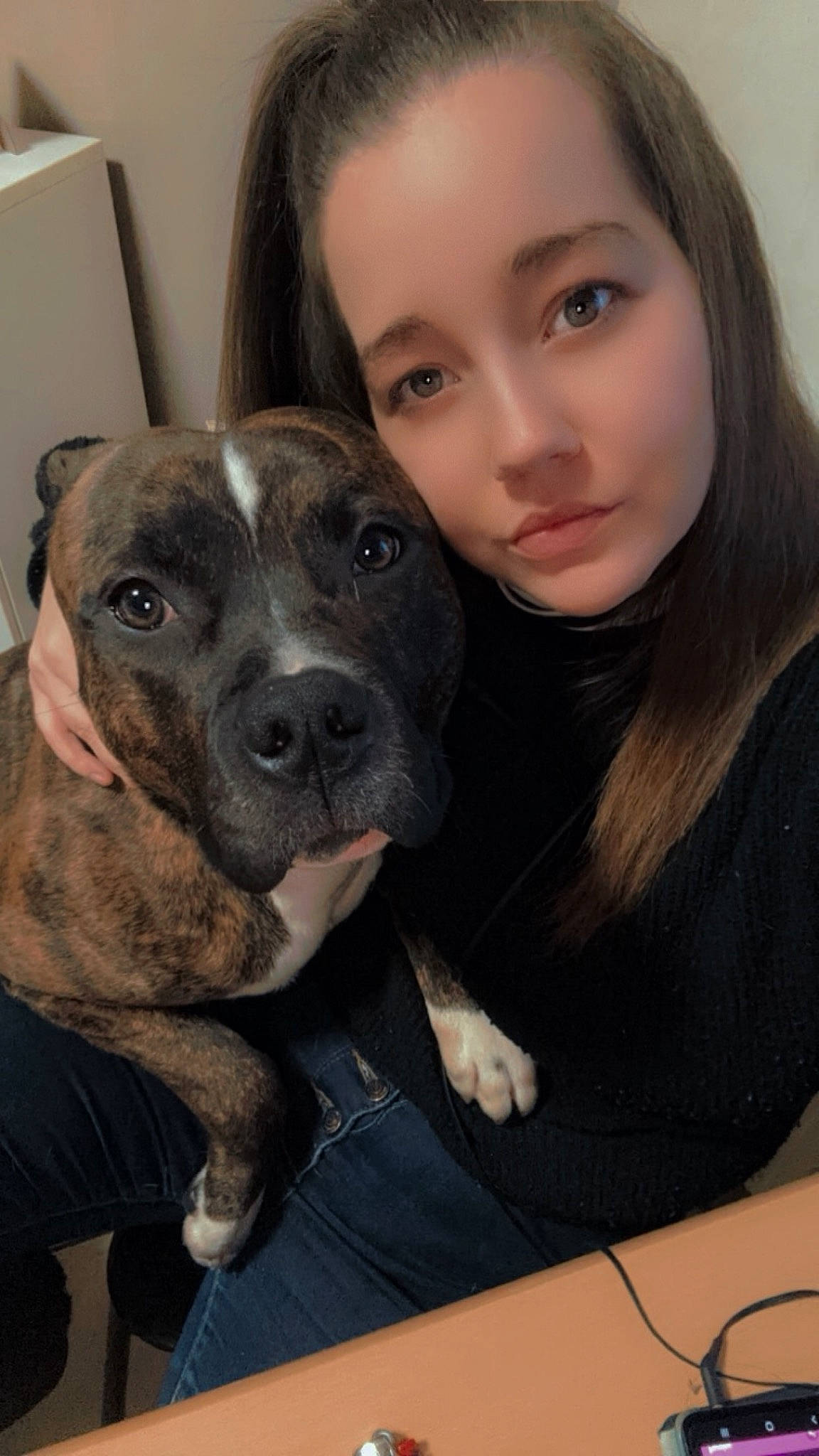 Guizmo participe au concours pour gagner de l'argent avec cette photo : canidae, carnivore, companion_dog, dog, dog_breed, ear, eye, eyelash, fawn, flash_photography, fur, happy, head, iris, nose, selfie, snout, sporting_group, whiskers, working_animal