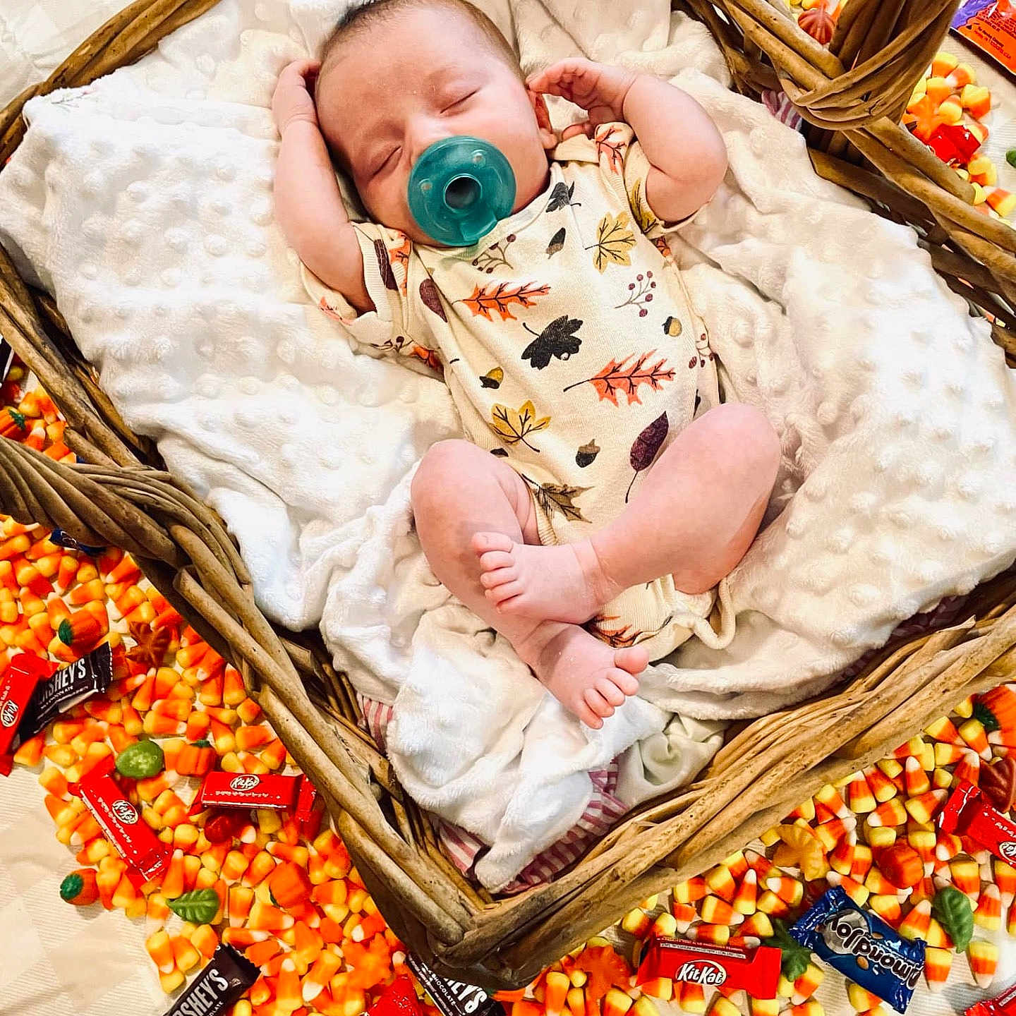 Iris is registered to the contest to win money with this photo: baby, basket, blanket, crib, face, furniture, head, infantbed, person