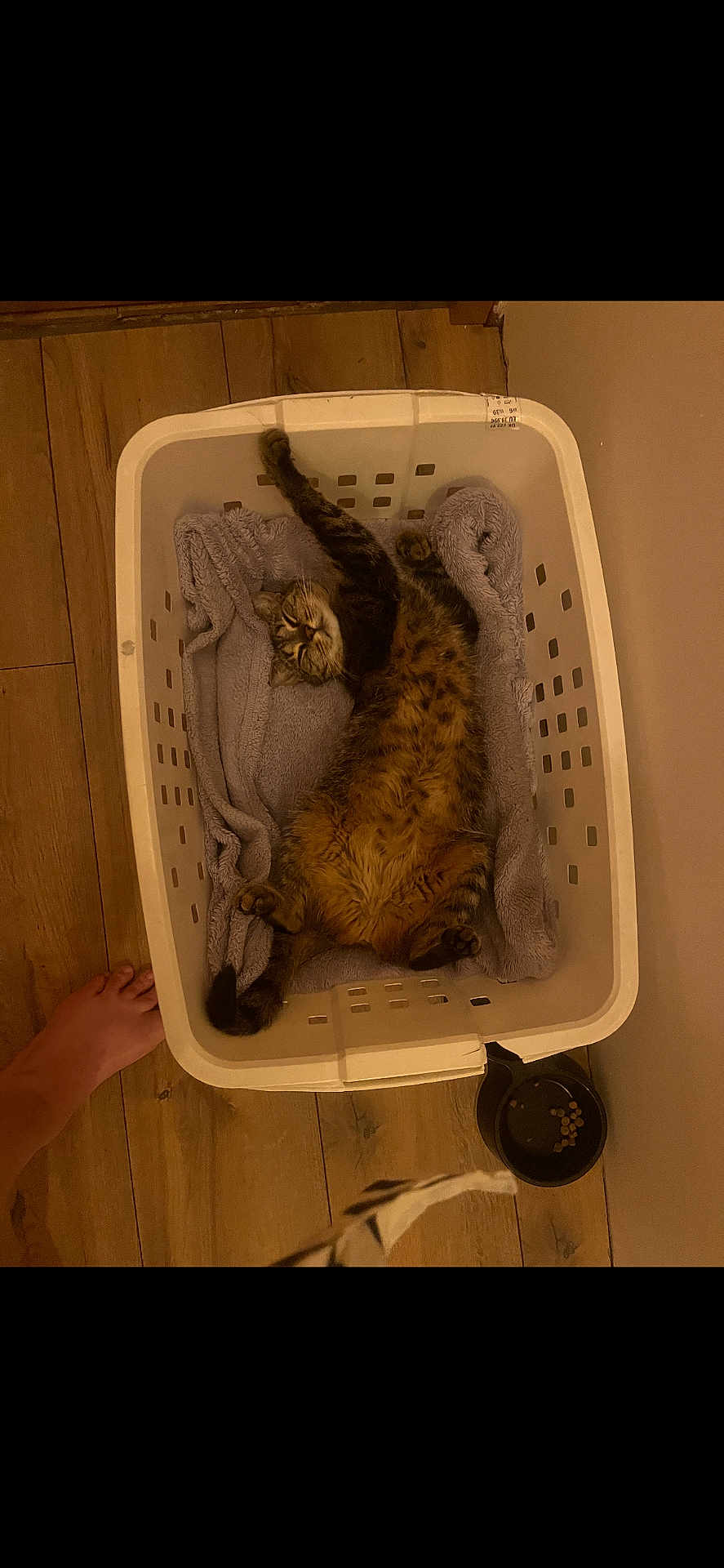 Héra