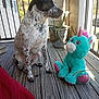 dog, speckled_dog, plush_toy, unicorn, porch, wooden_floor, potted_plant, railing, sunlight, outdoor, sitting, stuffed_animal, pet, toy, ears, snout, fence, texture, side_profile, relaxing
