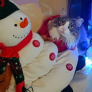 Lena Dallas Niell is registered to the contest to win money with this photo: cat, snowman, plush_toy, christmas, holiday, festive, winter, pet, fluffy, gray_and_white, blue_eyes, whiskers, animal_face, indoors, christmas_tree, lights, ornament, scarf, red, white