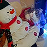 cat, snowman, plush_toy, christmas, holiday, festive, winter, pet, fluffy, gray_and_white, blue_eyes, whiskers, animal_face, indoors, christmas_tree, lights, ornament, scarf, red, white