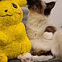 Utopia a rejoint le concours — aidez-le/la à gagner de superbes lots ! cat, stuffed_toy, pikachu, plush, yellow, furry, pet, indoor, cozy, curious, whiskers, paw, soft, gray_blanket, couch, toy, animal, relaxed, home, cute
