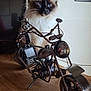 animal, art, background, blue_eyes, cat, closeup, curious, decor, feline, fluffy, indoor, metal, motorcycle, pet, portrait, sculpture, table, toy, whimsical, wood