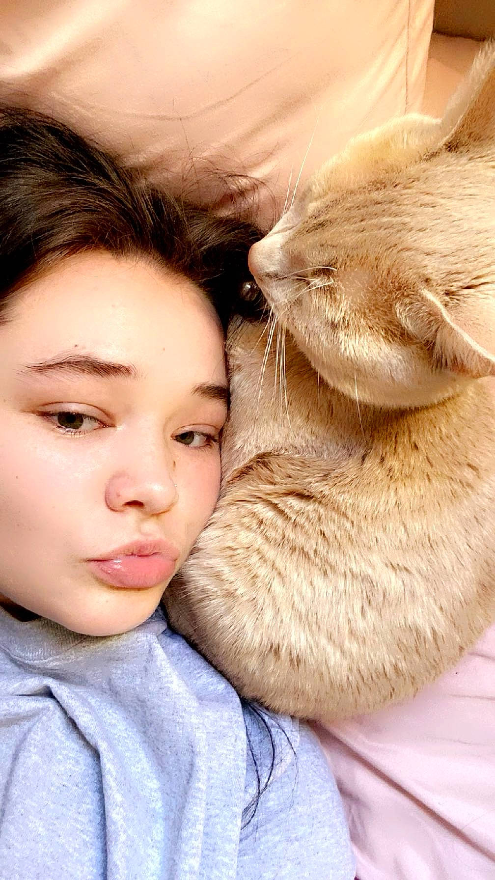 Bones joined the competition — help win amazing prizes! beard, carnivore, cat, close_up, comfort, companion_dog, eyelash, facial_hair, fawn, felidae, fur, gesture, happy, love, nose, paw, skin, small_to_medium_sized_cats, snout, whiskers