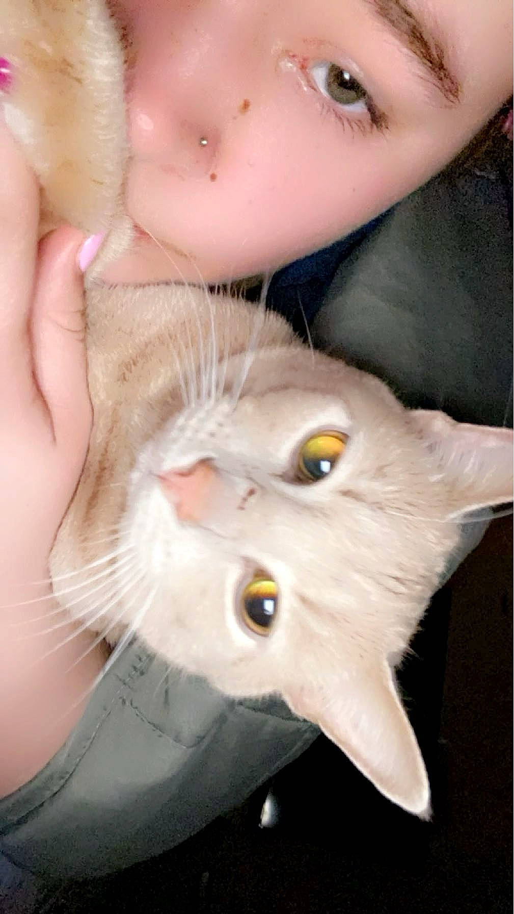 Bones is registered to the contest to win money with this photo: beauty, cat, dress, eye, eyelash, fashion_accessory, fawn, felidae, fruit, fur, head, human_body, jaw, nose, peach, photograph, plant, small_to_medium_sized_cats, snout, whiskers