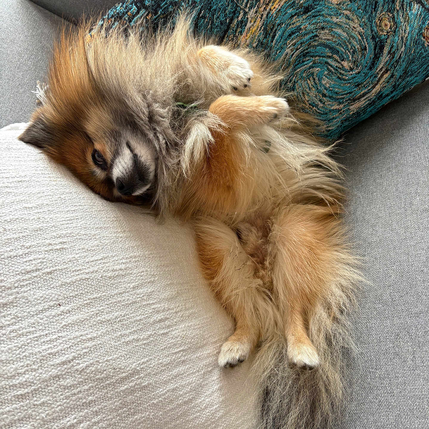 Obi-waf