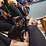 black_clothing, black_puppy, blanket, candid, casual, colorful_sweater, cracker, dog, feet, floor, home, indoor, legs, patterned_blanket, person, puppy, relaxed, sitting, snack, wood_floor