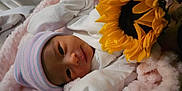 Valenciannah joined the competition — help win amazing prizes! newborn, baby, infant, blanket, hat, pink, white_clothing, flower, sunflower, soft_texture, cute, sleeping_area, portrait, indoors, cozy, closeup, face, hand, resting, peaceful