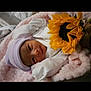 newborn, baby, infant, blanket, hat, pink, white_clothing, flower, sunflower, soft_texture, cute, sleeping_area, portrait, indoors, cozy, closeup, face, hand, resting, peaceful