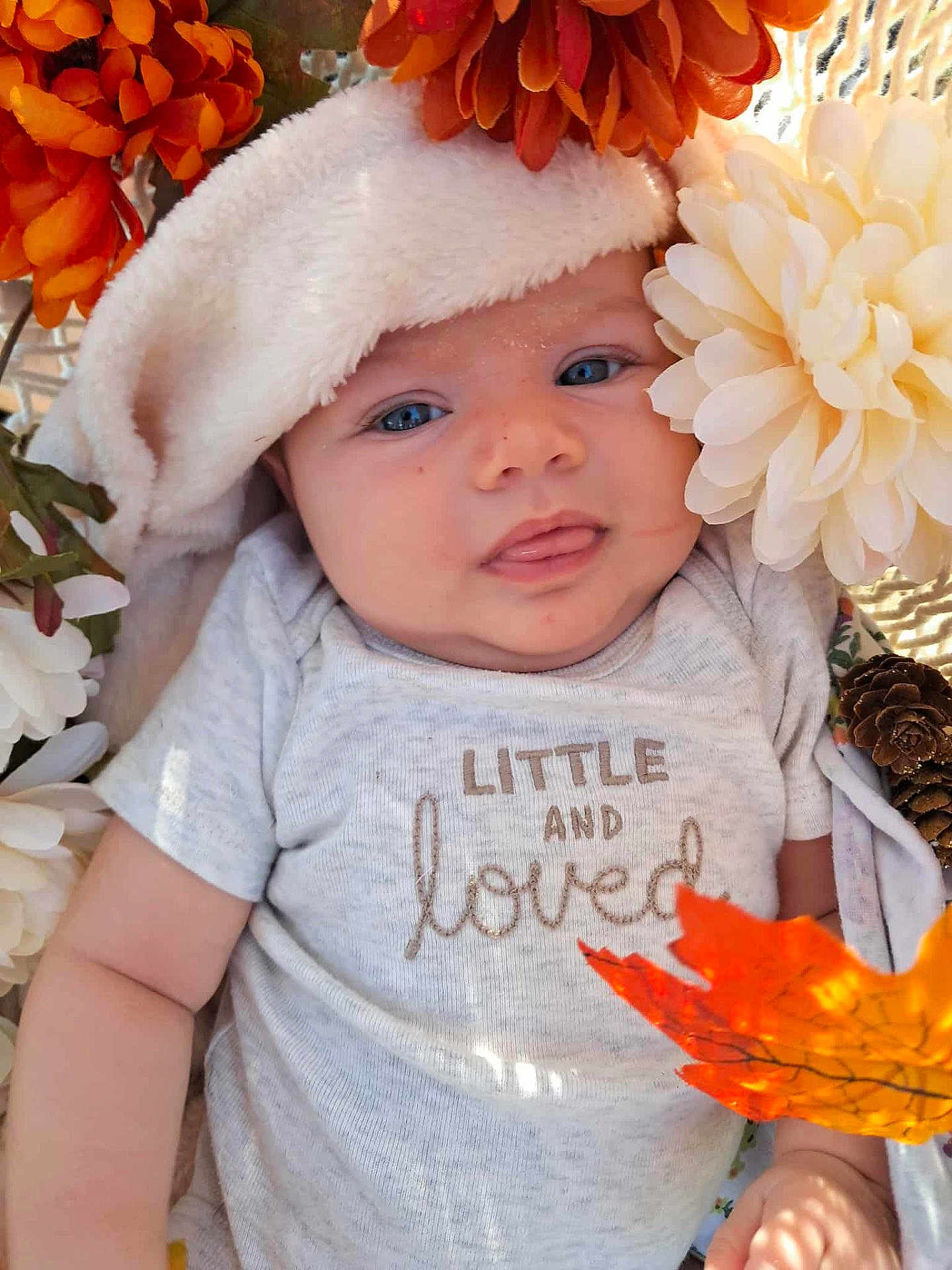 Oakley Jade joined the competition — help win amazing prizes! baby, infant, face, blue_eyes, hood, flowers, orange_flowers, white_flower, leaf, autumn, cozy, shirt, text_on_shirt, cute, portrait, skin, chubby_cheeks, small_hand, nature, closeup