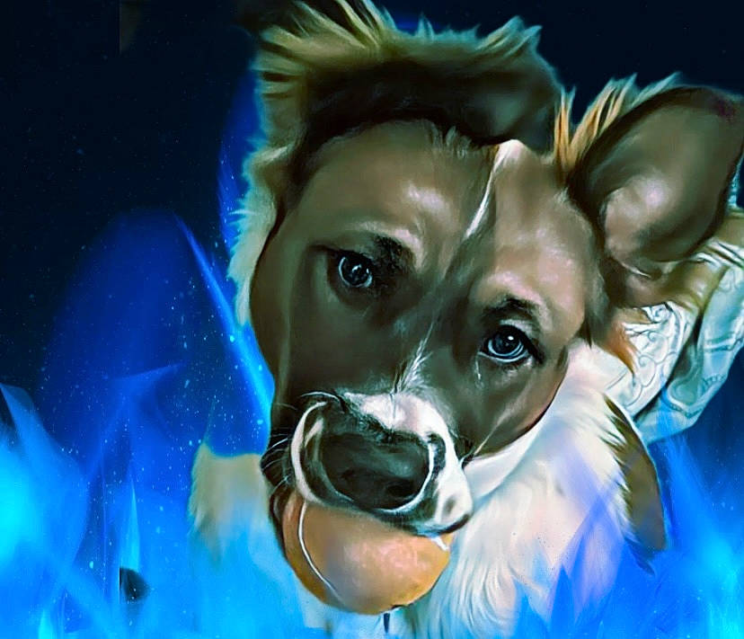 Angel is registered to the contest to win money with this photo: art, carnivore, cg_artwork, companion_dog, dog, dog_breed, drawing, electric_blue, eyewear, fawn, fictional_character, illustration, painting, personal_protective_equipment, snout, toy_dog, underwater, visual_arts, whiskers, working_animal